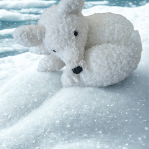 Renard des neiges